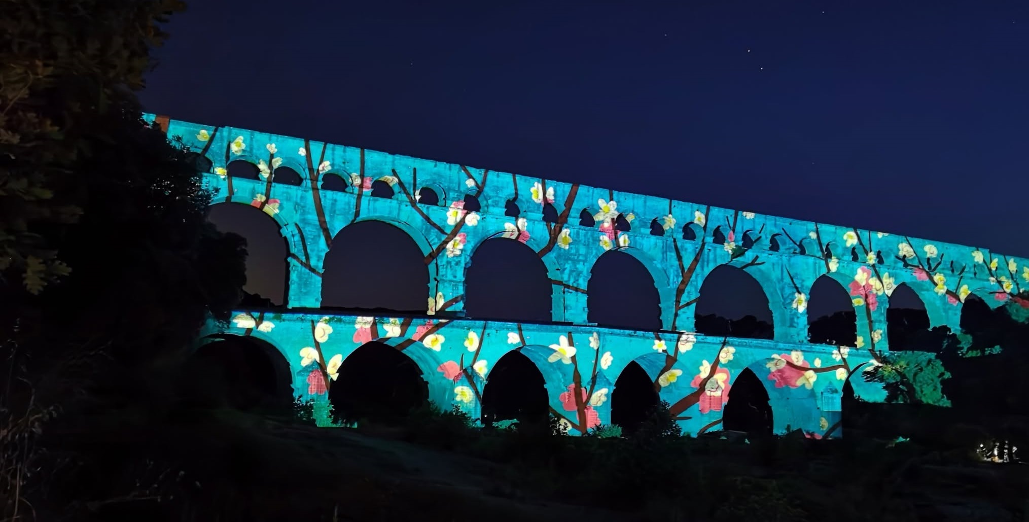 pont du g'art 