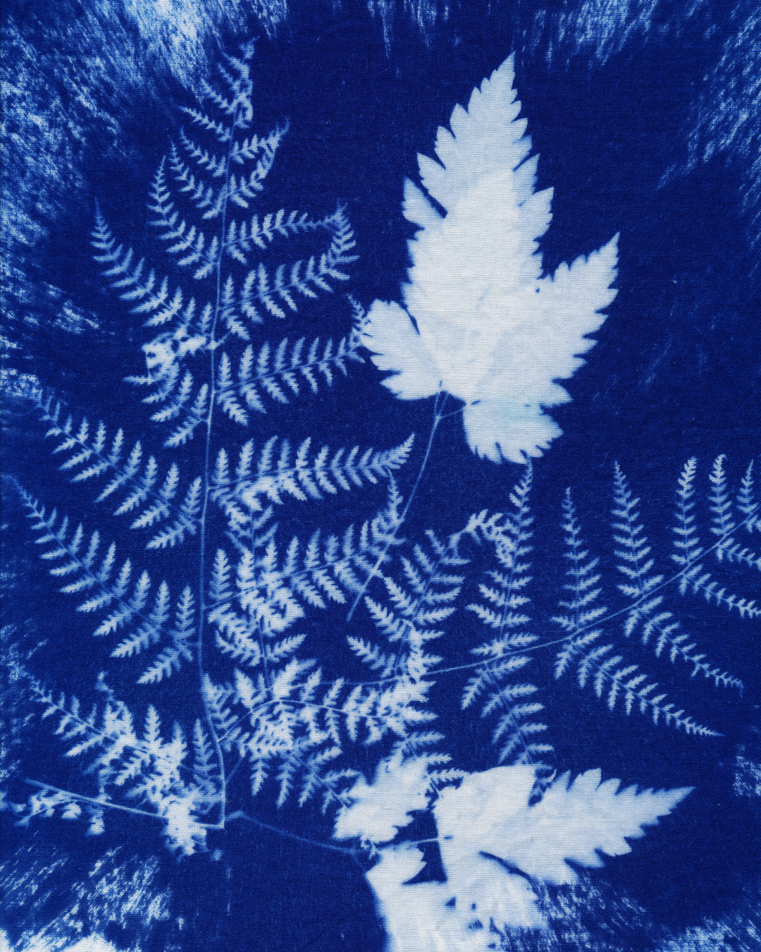 CYANOTYPE 